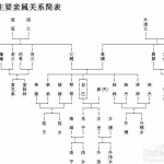 一图看懂亲属关系